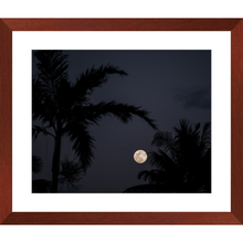 Load image into Gallery viewer, Moon gazing through the palms
