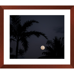 Moon gazing through the palms
