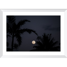 Load image into Gallery viewer, Moon gazing through the palms
