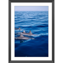 Load image into Gallery viewer, Swimming with friends
